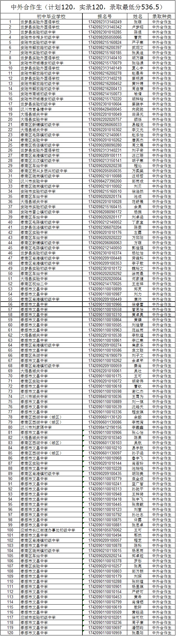 2017年中外合作部录取名单